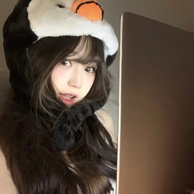 天鹅套索